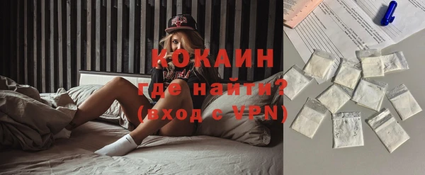 гидра Арсеньев