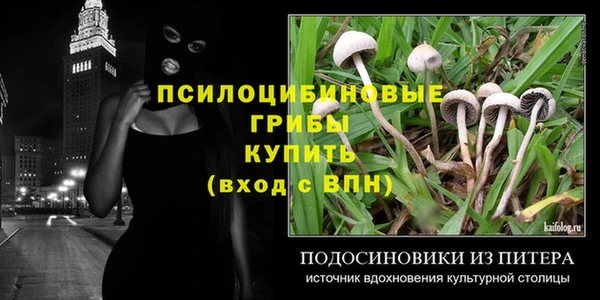 гидра Арсеньев