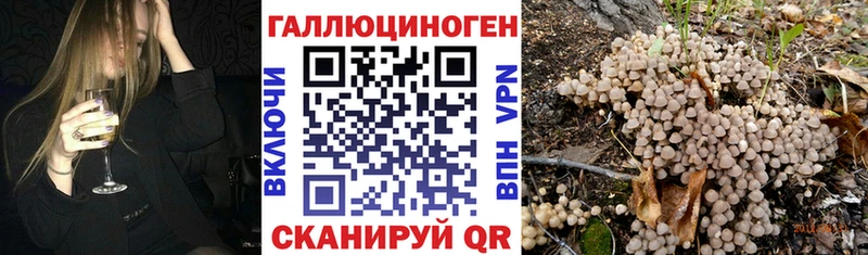 как найти   KRAKEN онион  Псилоцибиновые грибы Psilocybe  Полесск 